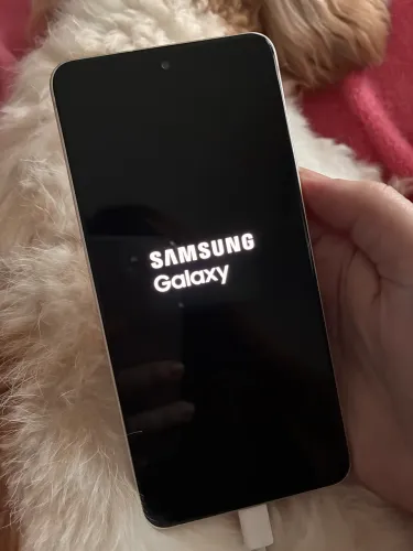 Samsung S21 FE 256gb