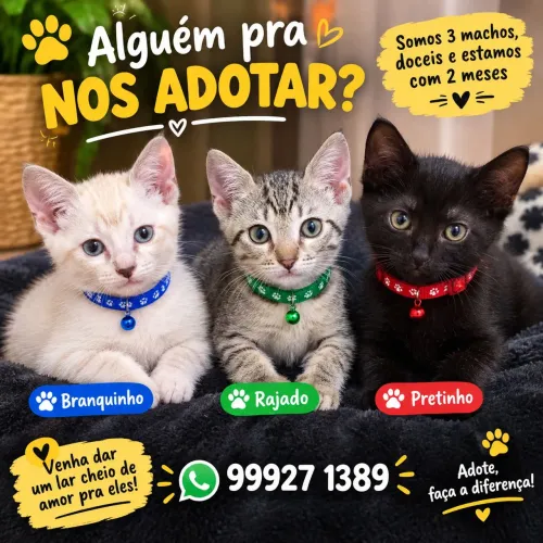 FILHOTES FOFOS