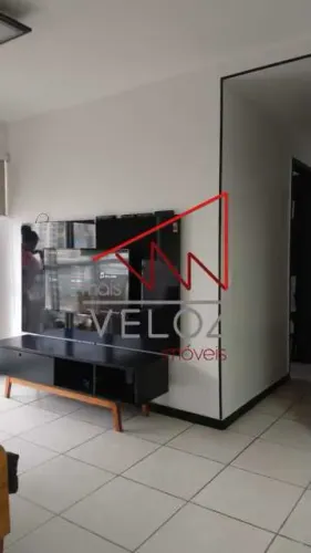 Apartamento : Padrão / Residencial / Botafogo