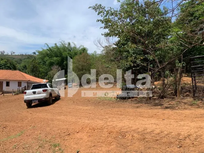Fazenda disponível para venda na Zona Rural de Uberlândia em Uberlândia-MG