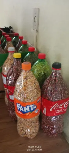 Vendo pipoca miúda