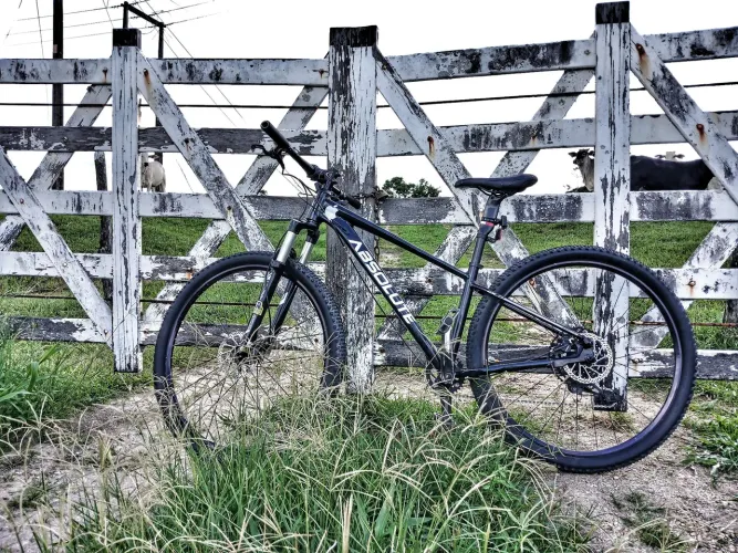 QUADRO ABSOLUTE WID 2 