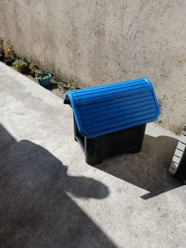 Casinha para cachorro médio