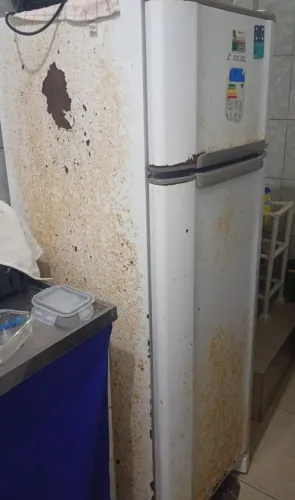 Geladeira funcionando perfeitamente só precisar pinta