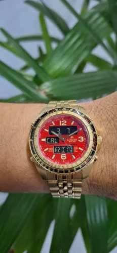 Citizen Promaster retro novinho