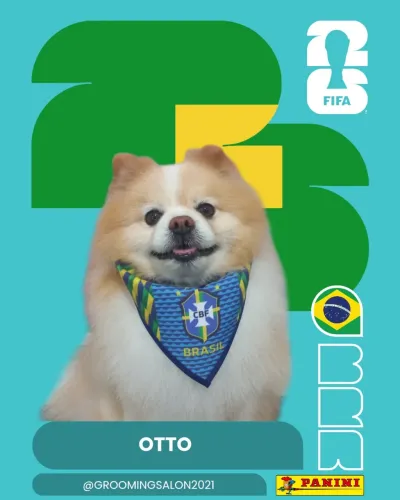 Doação
