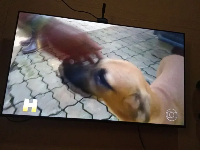 Vendo essa TV novinha 50 polegadas porquê quero entra para comprar uma maior