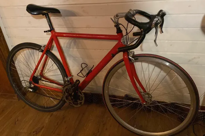 Bicicleta Speed