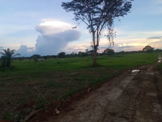 Terrenos no Arco viário.