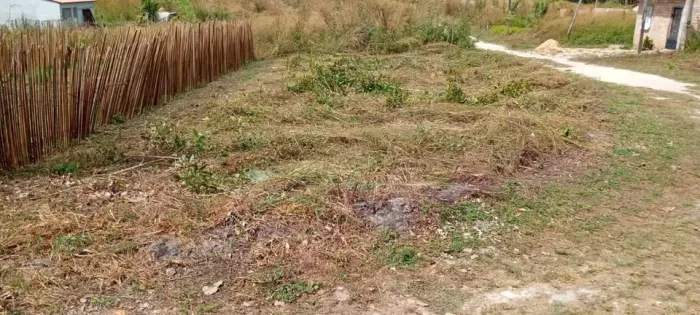 Terreno em Alto Alegre do Maranhão