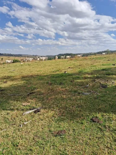 Sítio à Venda.