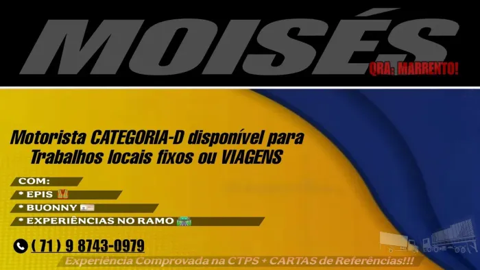 Motorista CATEGORIA - D disponível para TRABALHOS LOCAIS FIXOS ou VIAGENS.