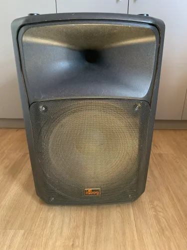 Caixa de som 15 polegadas, marca moog