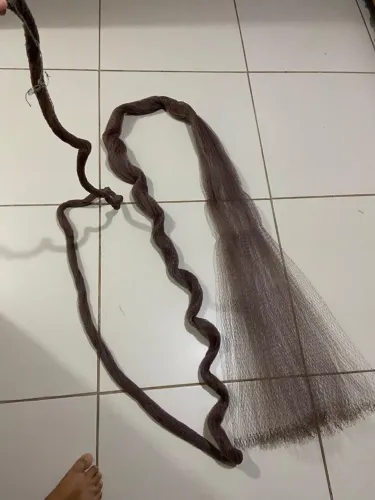 Pulsar para camarão