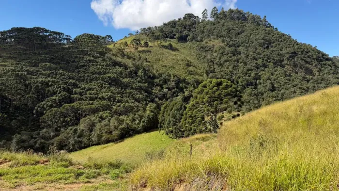 TERRENO À VENDA  22.000 m² | GONÇALVES-MG