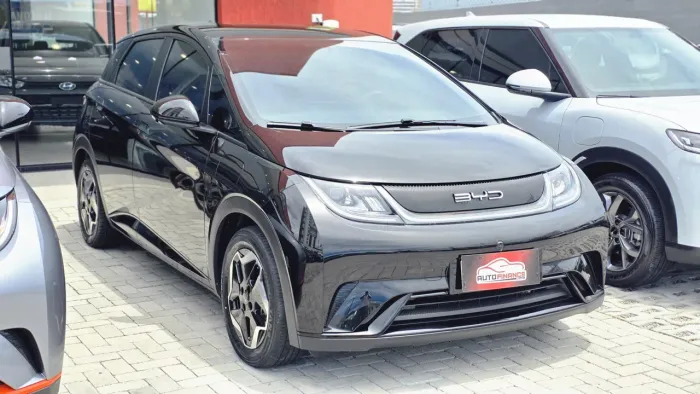 BYD Dolphin GS (Elétrico) 2024