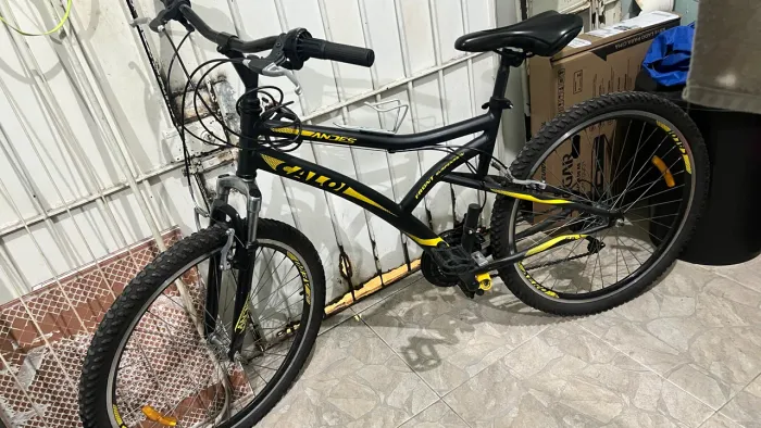 Bicicleta Caloi Andes 21v