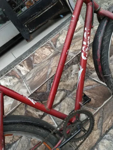 Bicicleta