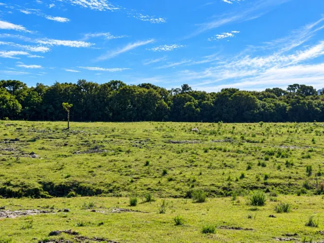 Sítio em Urubici - 3,5 hectares- 30% + 48X