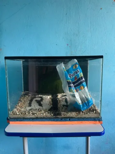 Aquario