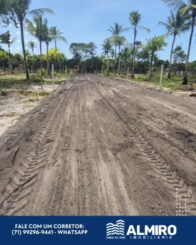 Terrenos planos com excelente localização apenas 1,5 km da Praia de Berlinque.
