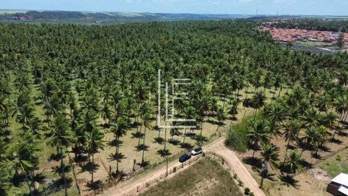 Excelente e ampla área de 60.000m² (06 hectares) atrás do IFAL Campus Coruripe