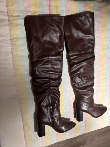 Bota 