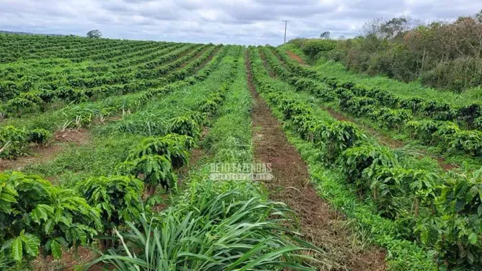 Imóvel para venda com 12560000 metros quadrados em Zona Rural - Bonito - BA