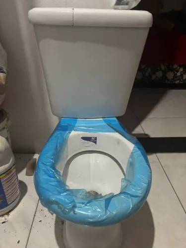 Vaso sanitário -Santa Clara