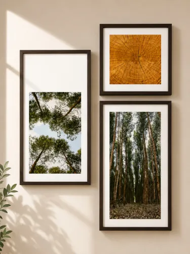 Conjunto de quadros