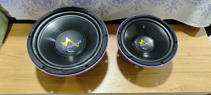subwoofer Bravox endurece roxinho 10