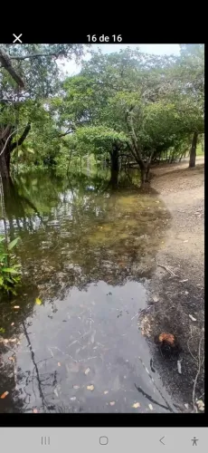 TERRENO EM ALTER DO CHÃO 
