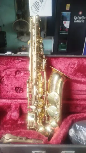 Saxofone Alto-sax Stagg Semi-novo pouco usado