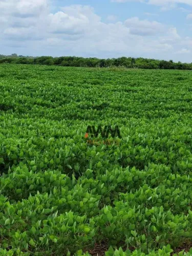 Fazenda à venda, 5130400 m² por R$ 15.000.000,00 - Zona Rural - Silvanópolis/TO
