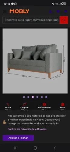Sofá 2 lugares cinza (modelo Beny)