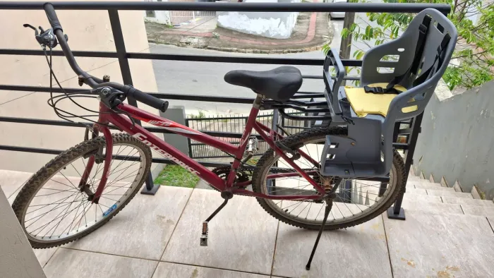 Bicicleta