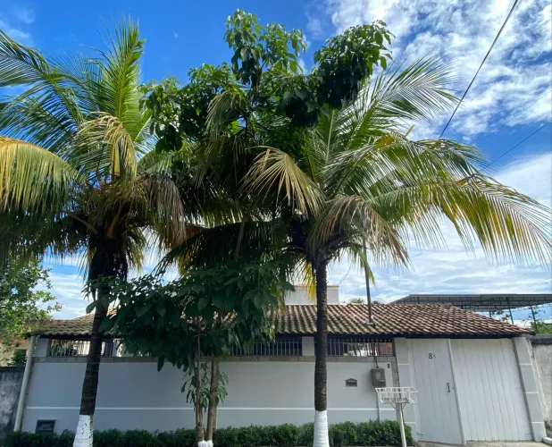 Sua casa está aqui! Linda casa com pomar