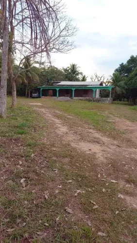Mini chácara
