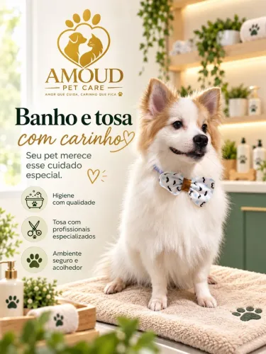 Banho e tosa (táxi dog exclusivo)