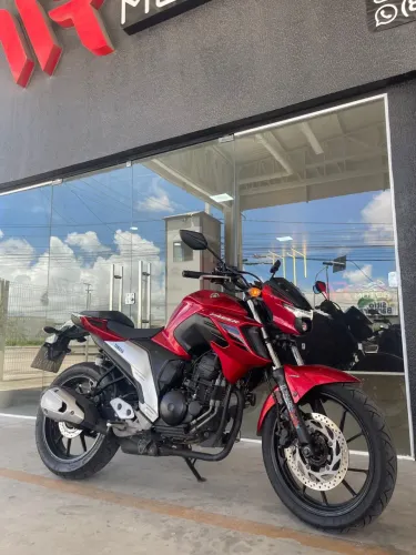 FZ 25 2023