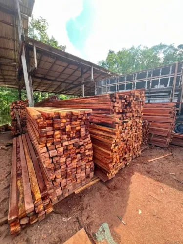 Temos madeira em geral para atender diferentes necessidades da construção.