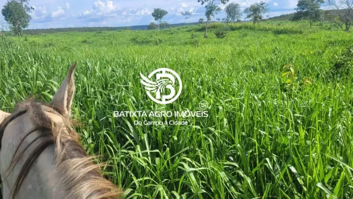 Imóvel para venda tem 1000 metros quadrados em Zona Rural - Novo Acordo - TO