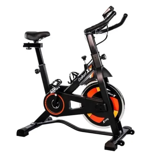 Bicicleta ergométrica