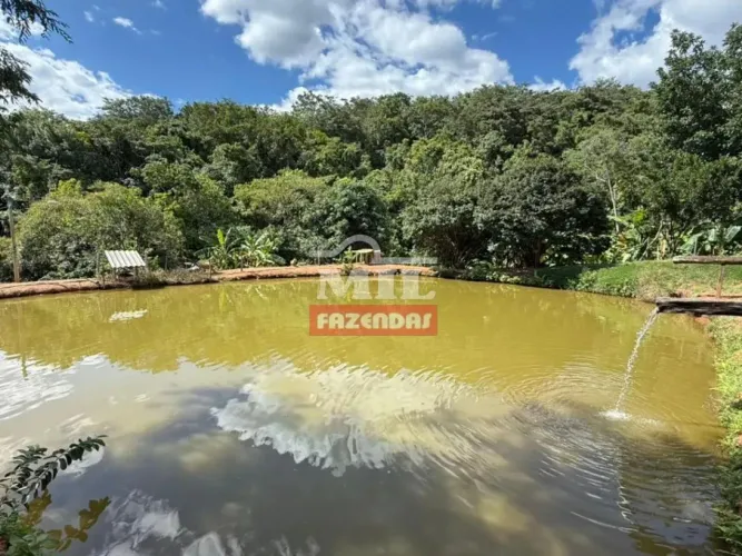 Chácara 5 alqueires (24,2 hectares) São Miguel do Passa Quatro - Go