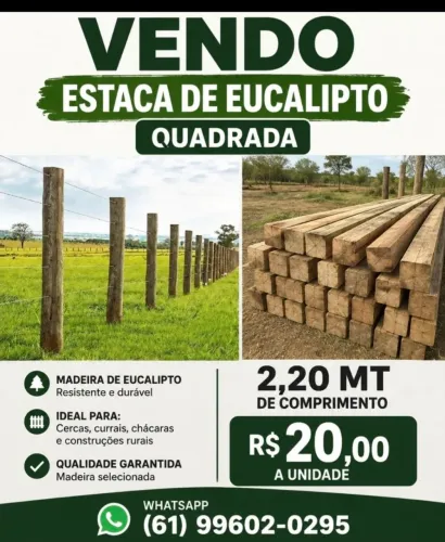 Estaca de eucalipto quadrada para cerca