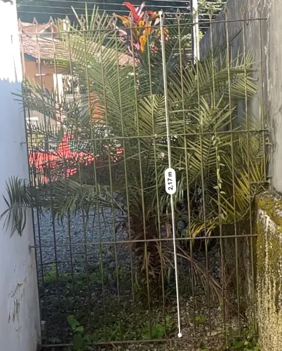 Vendo portão de ferro em ótimo estado