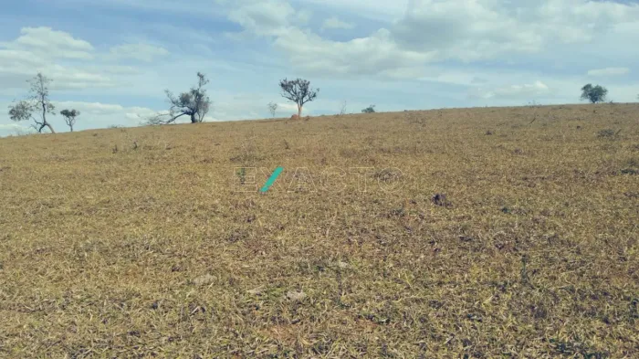fazenda - Centro - Serranos