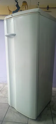 Geladeira Electrolux funcionando e gelando inclusive está ligada ,127 volts, ENTREGO local