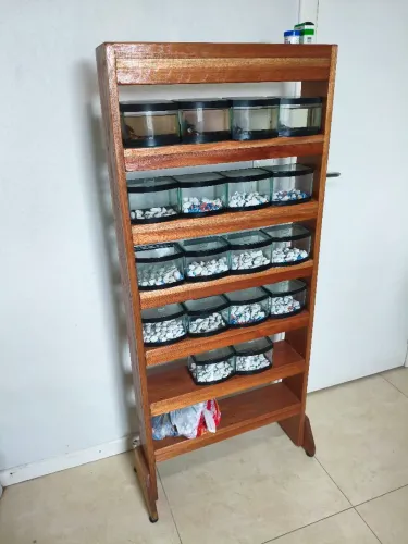 Vendo aquários de beta com prateleira
