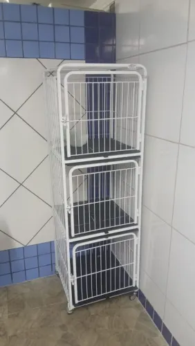 Gaiola veterinária modular!